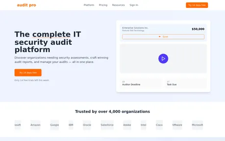 IT Audit Pro Business Website