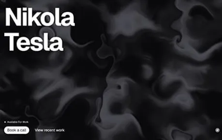 Nikola Tesla Portfolio